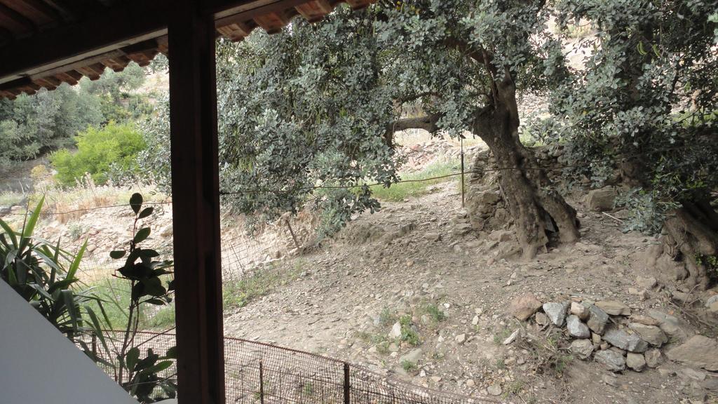 Kerames Archontika Apartments מראה חיצוני תמונה